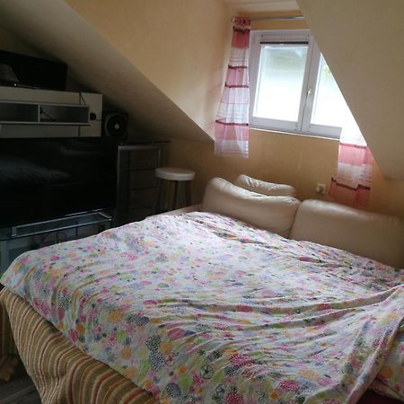 Wohlfuehloase - Zimmer, Appartment - Im Herzen Starnbergs Стая снимка