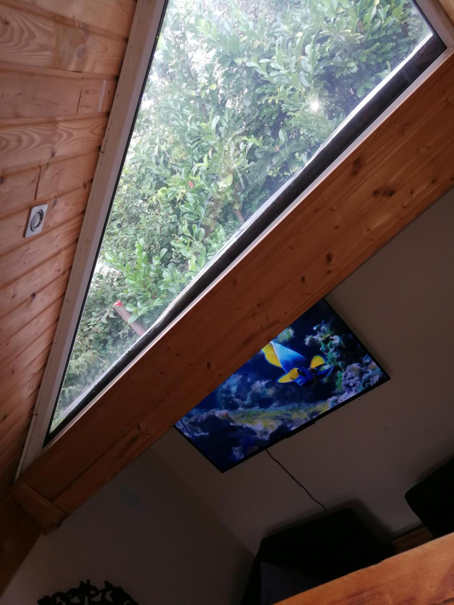 Wohlfuehloase - Zimmer, Appartment - Im Herzen Starnbergs Стая снимка